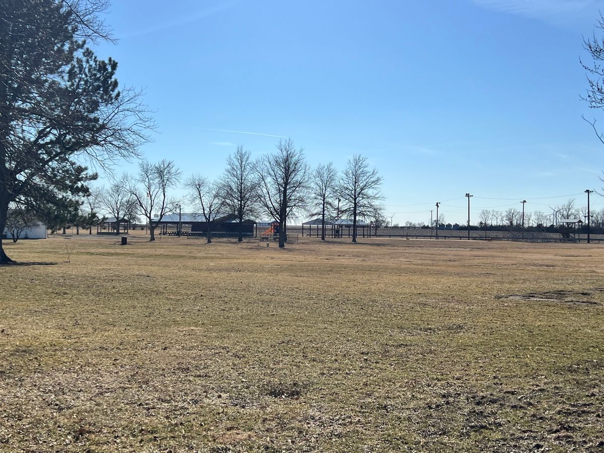 203 W 5th Avenue, Rankin, IL 60960