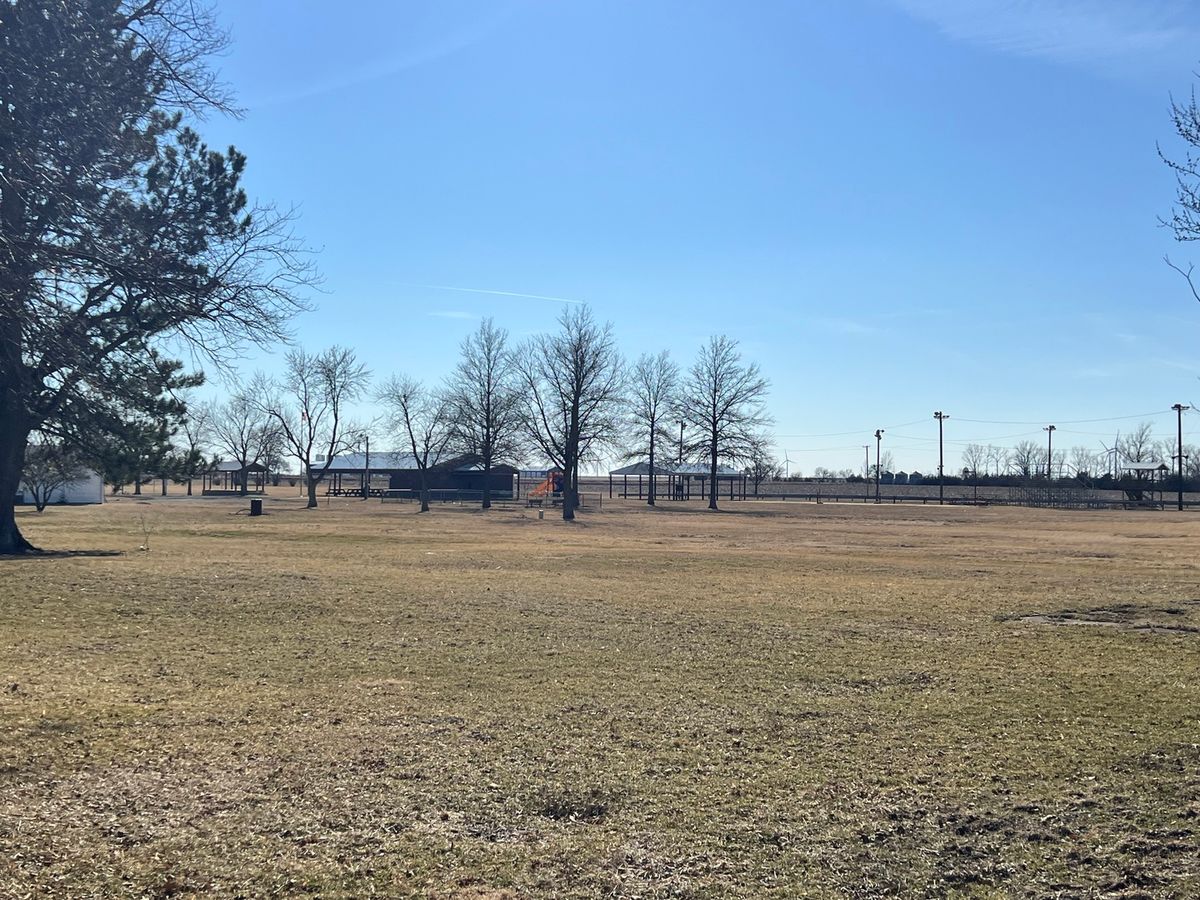203 W 5th Avenue, Rankin, IL 60960