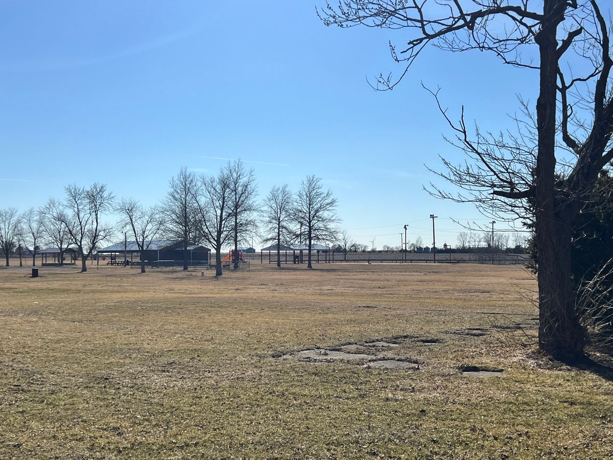 203 W 5th Avenue, Rankin, IL 60960