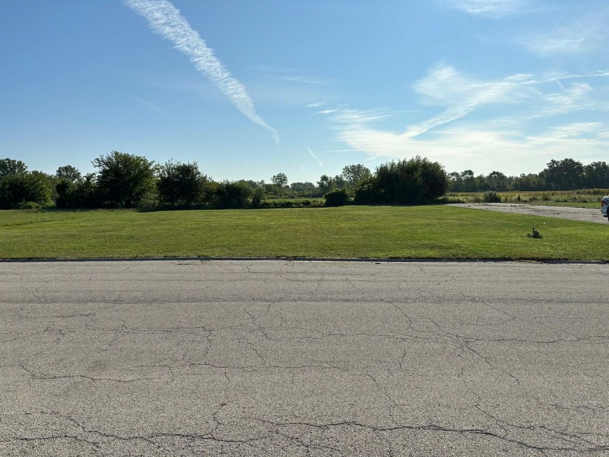 903-905 English Street, Braidwood, IL 60408