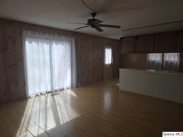 670 E 1st Street, Dallas City, IL 62330