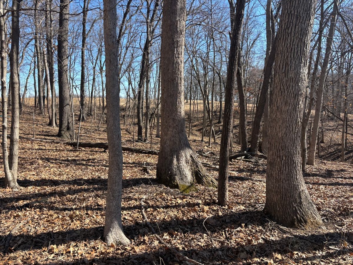 1742 Tanglewood Drive, Varna, IL 61375