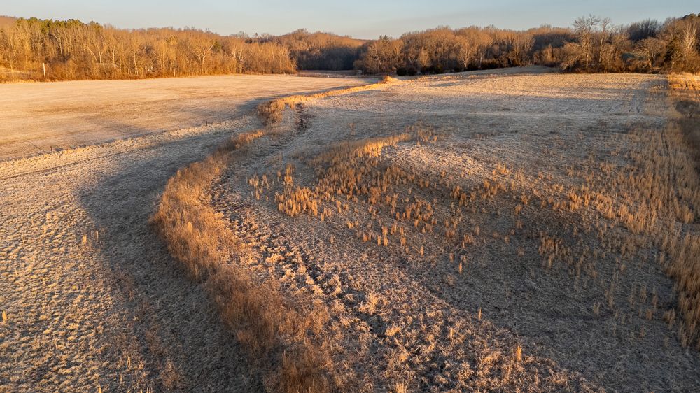 000 Rattlesnake Ferry Road, Alto Pass, IL 62905