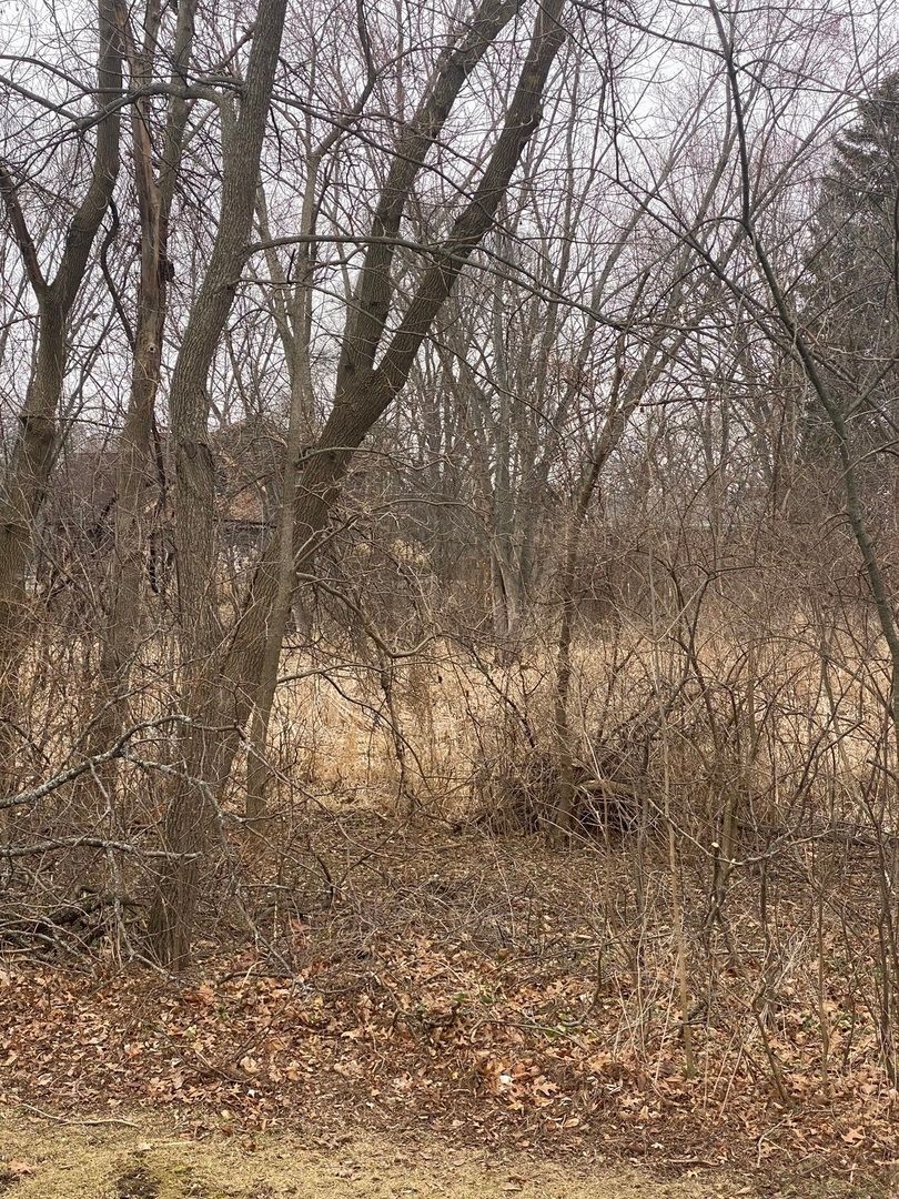 21177 Valley Road, Kildeer, IL 60047