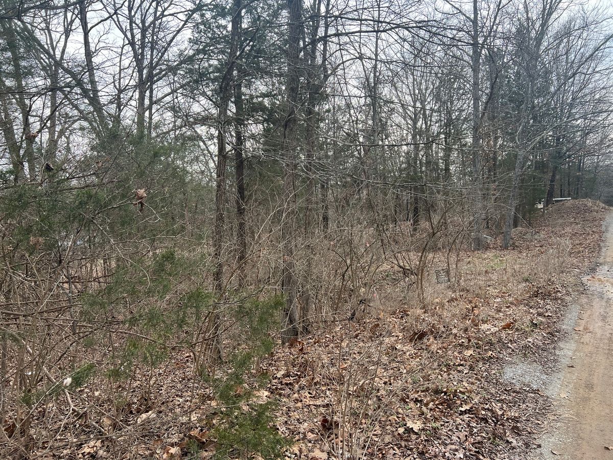 Lot 14 Jill Lane, Goreville, IL 62939
