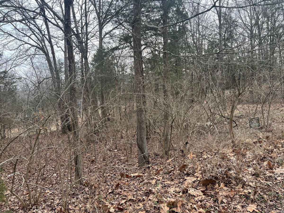 Lot 14 Jill Lane, Goreville, IL 62939