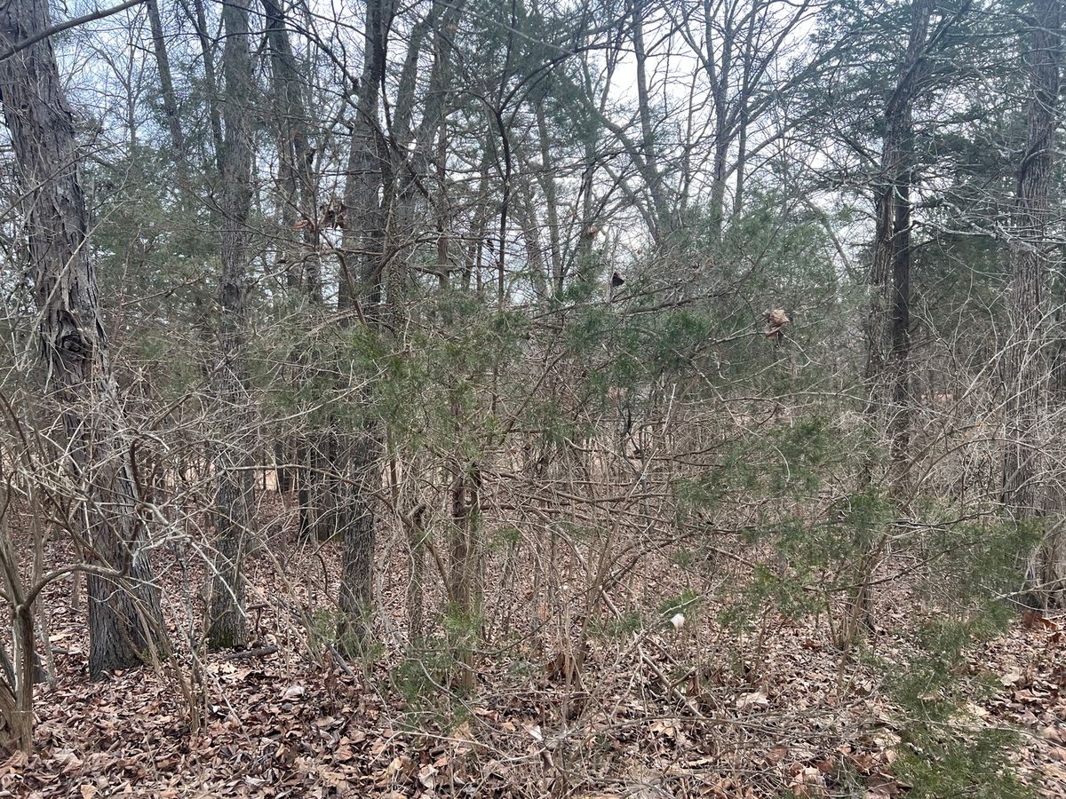 Lot 14 Jill Lane, Goreville, IL 62939