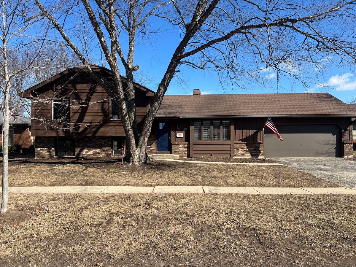 527 Lyle Avenue, Elgin, IL 60123