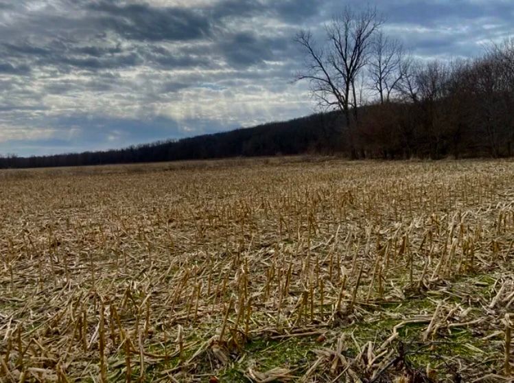 1489 2723rd Lane, Clayton, IL 62324