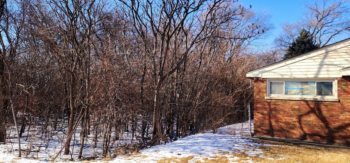 4118 Midlothian Avenue, Robbins, IL 60472