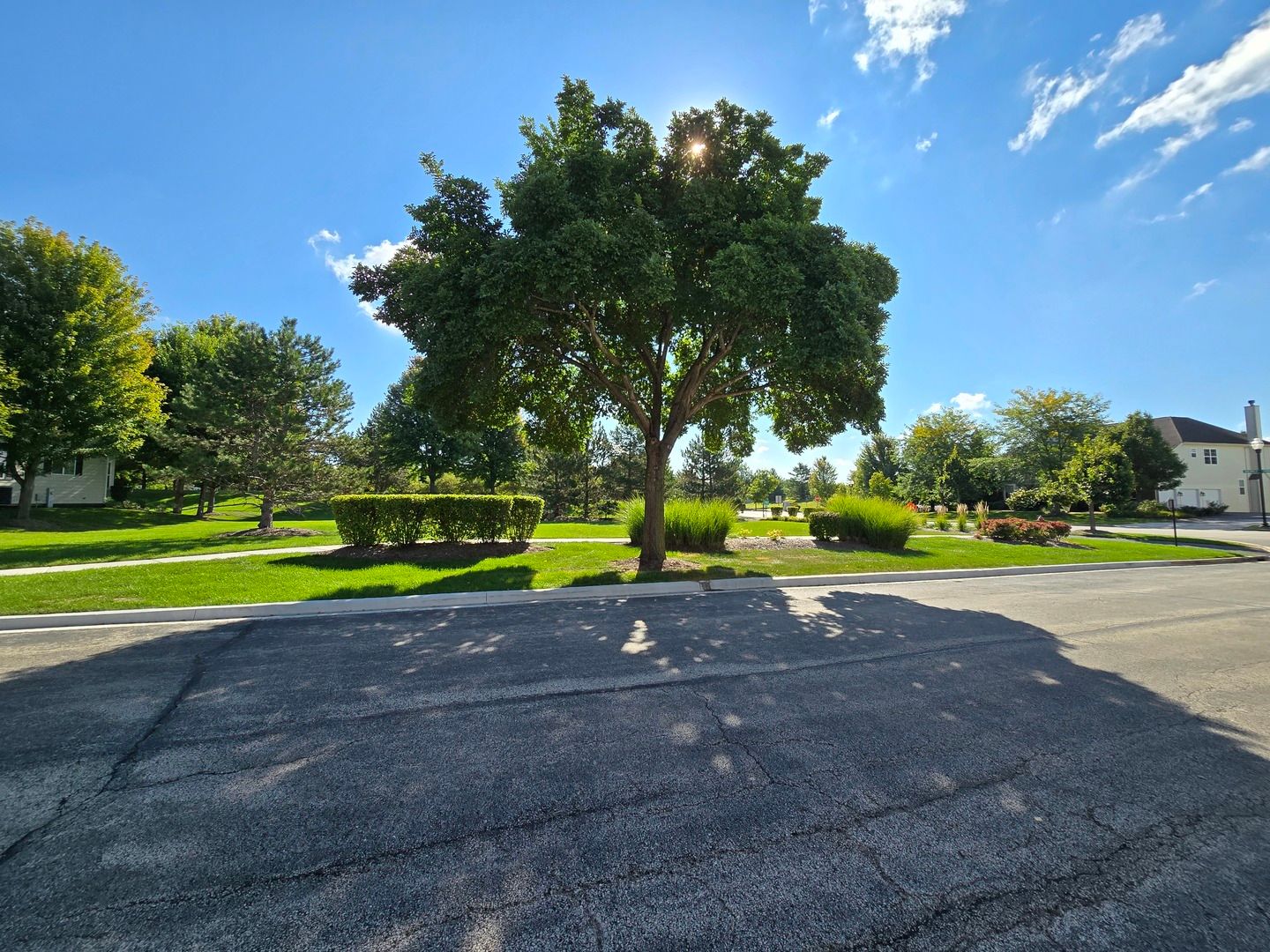 1121 Iron Horse Court — Elgin, IL 60124