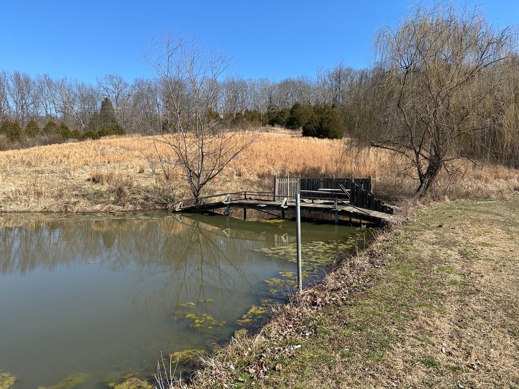 451 Bullock Hill Road, Simpson, IL 62985