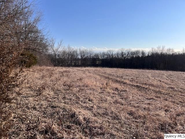 Sec 16 2150th Place, Liberty, IL 62347