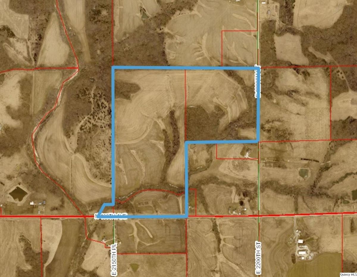 Sec 9 400th Avenue, Liberty, IL 62347