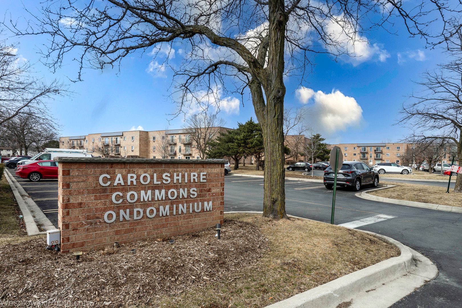 147 W Elk Trail #147 — Carol Stream, IL 60188