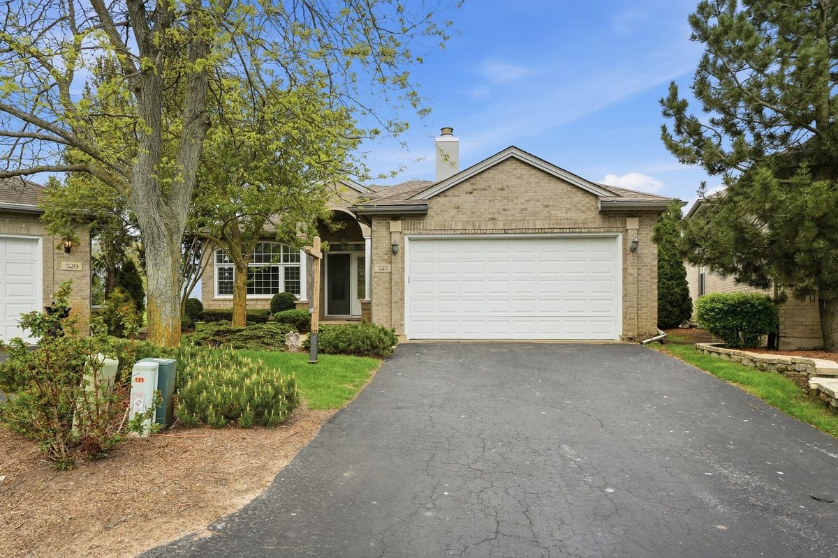 525 Highlington Court, Beecher, IL 60401