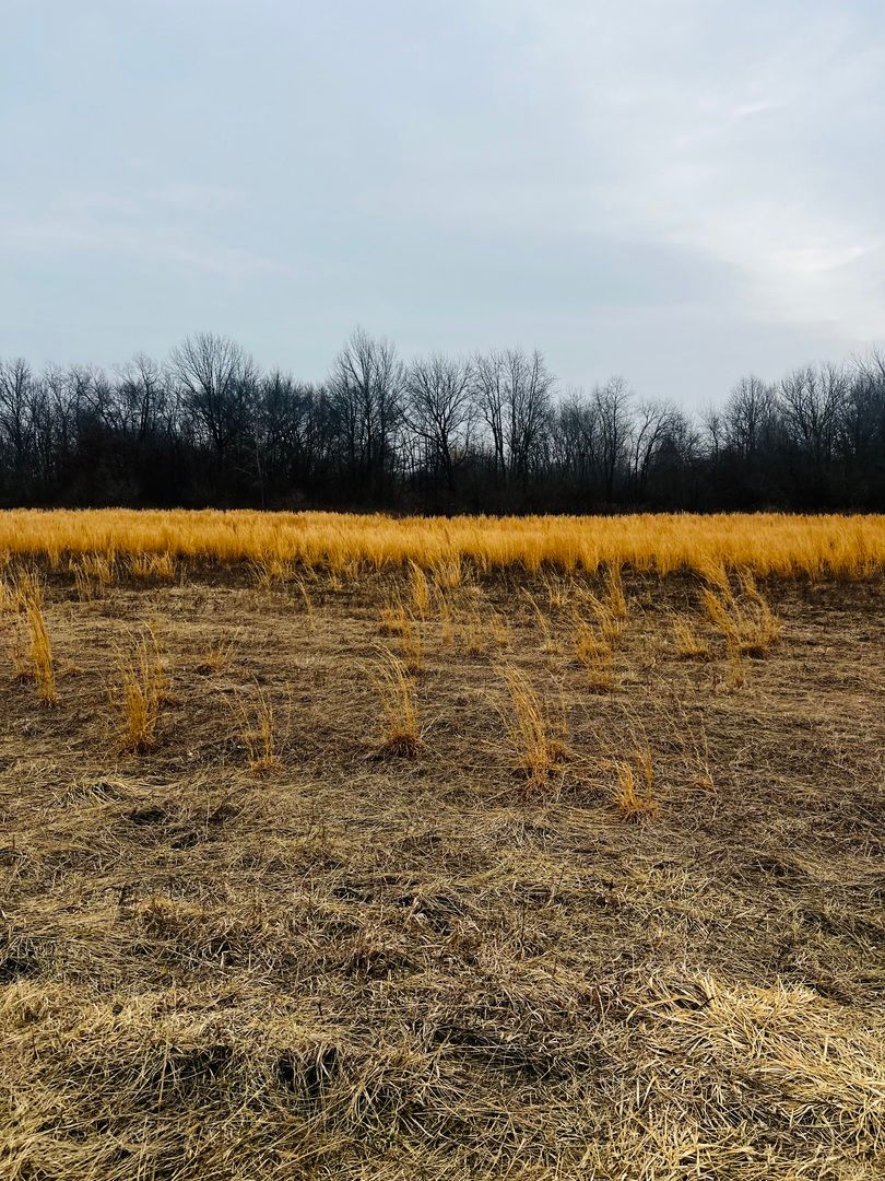 0000 4750 Road, Pembroke Twp, IL 60958