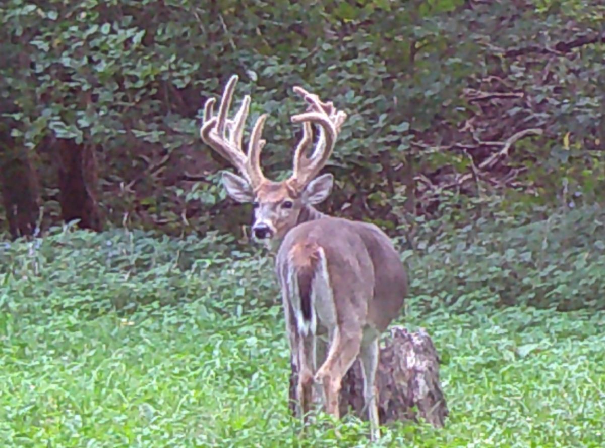 000 200th Avenue, Mason, IL 62443