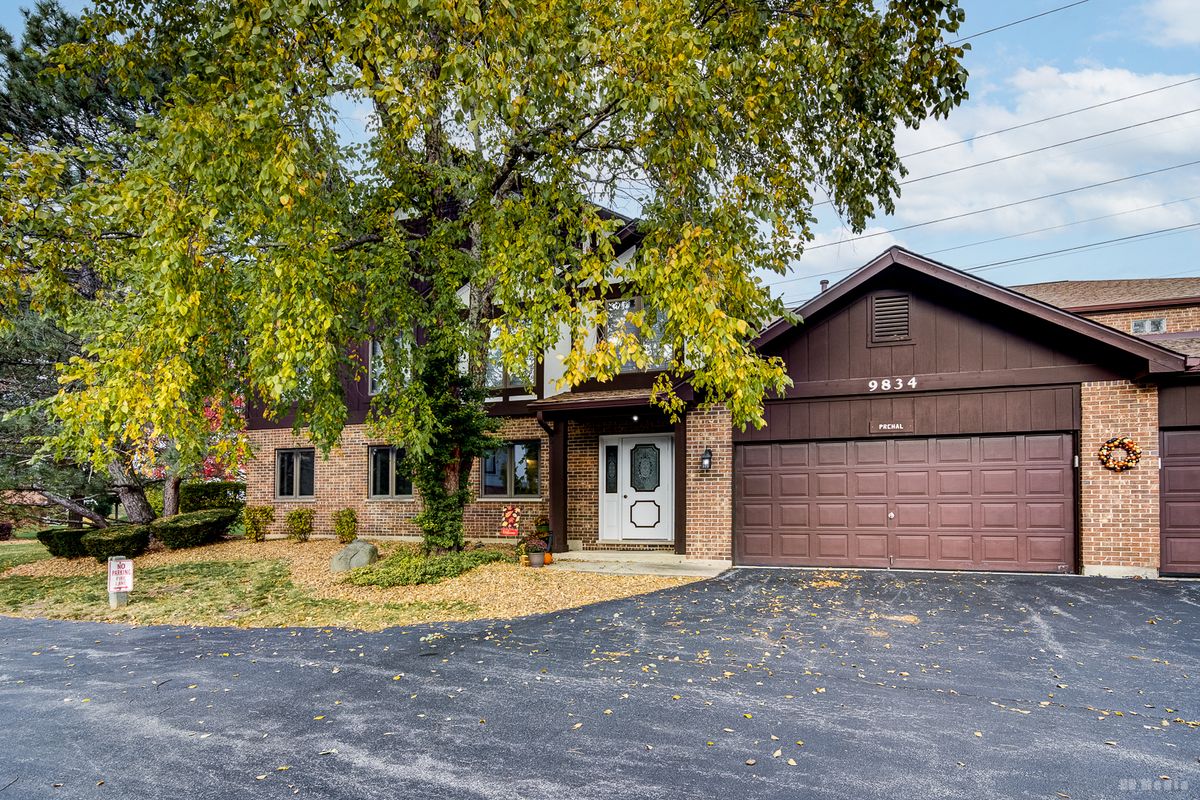 9834 Terrace Court, Palos Park, IL 60464