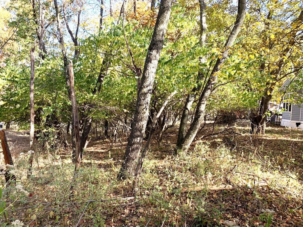 5/334 Woodhaven, Sublette, IL 61367