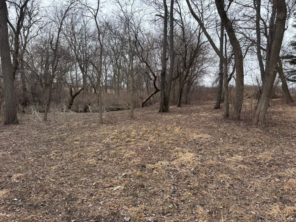 0 Shaw Road, Compton, IL 61318