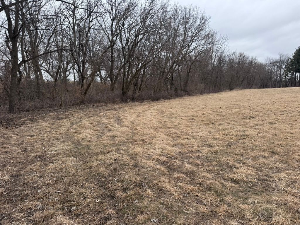 0 Shaw Road, Compton, IL 61318