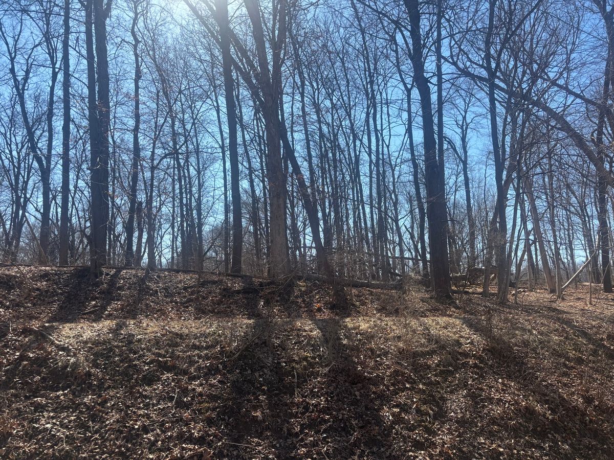 839 Lake Wildwood Drive, Varna, IL 61375