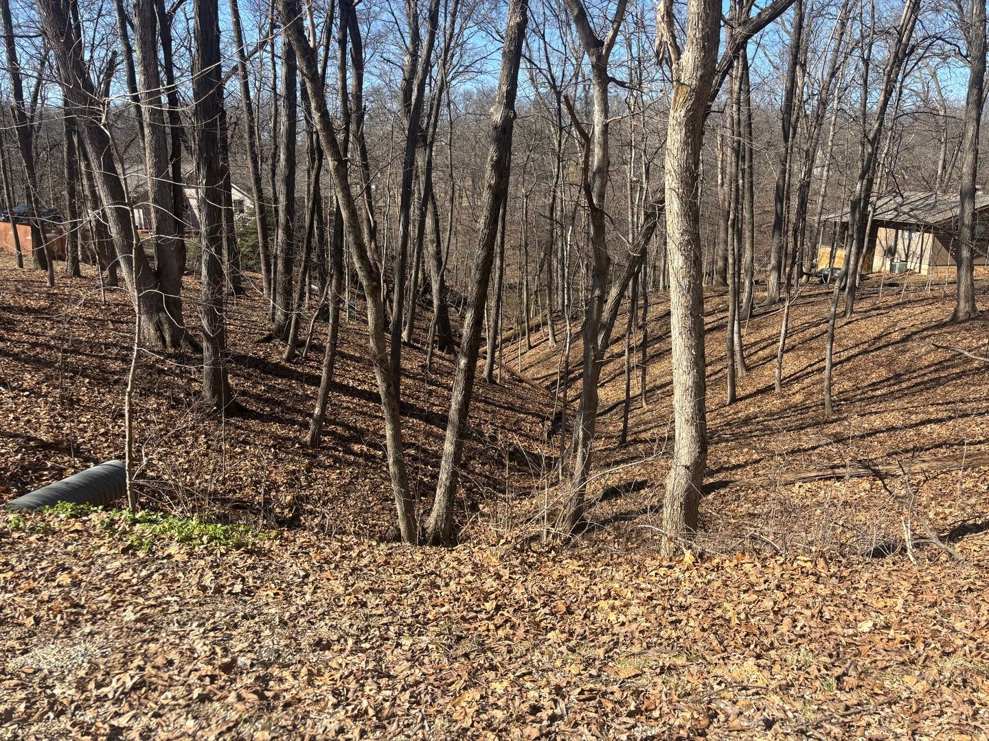 1673 Lakeside Court — Varna, IL 61375