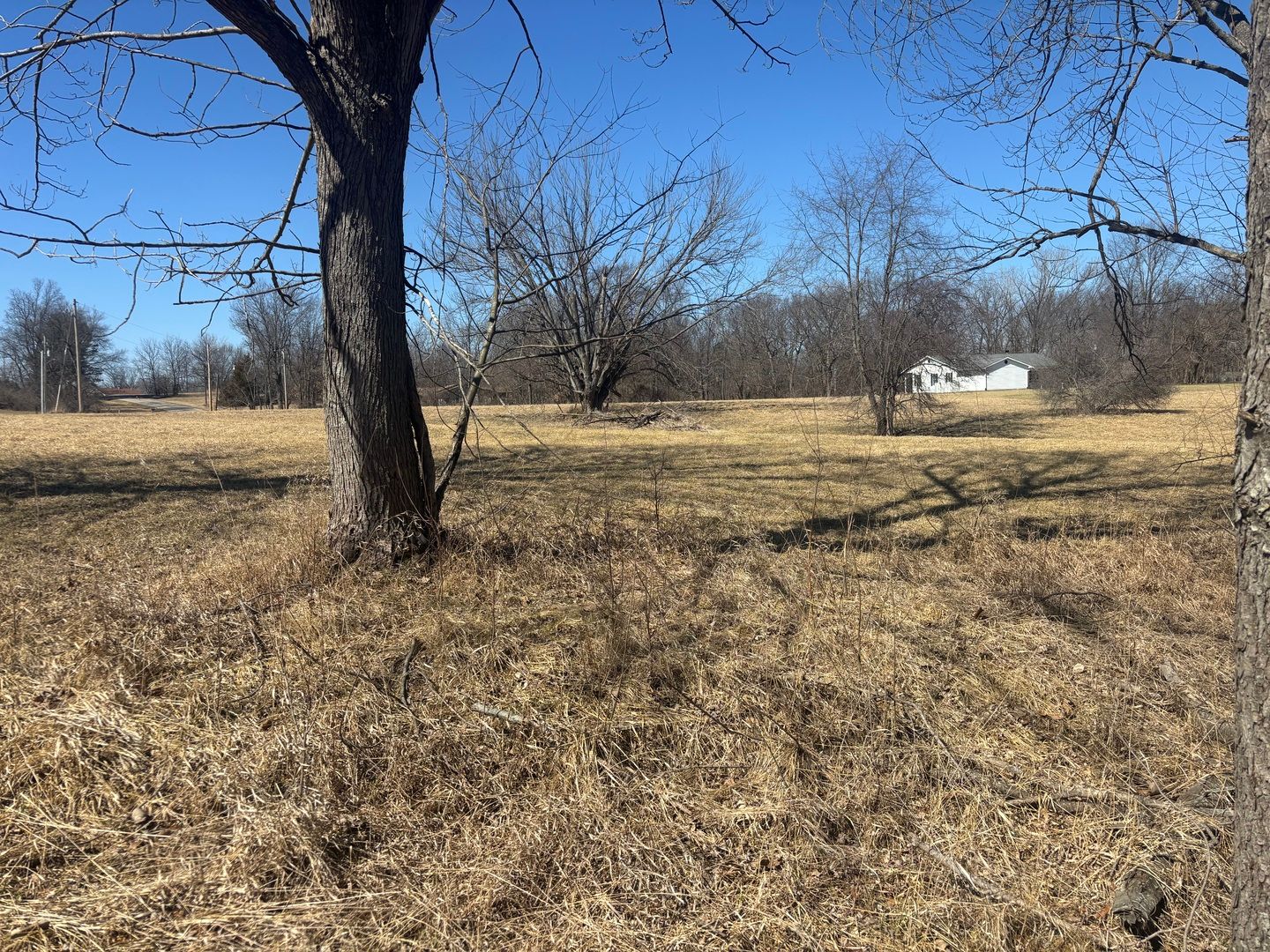 1542 Key Court — Varna, IL 61375