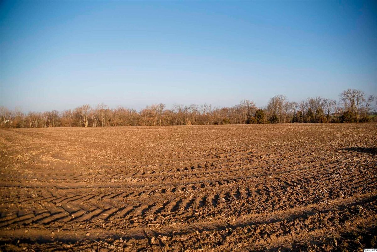 SE SEC 23 Keene Township, Loraine, IL 62349