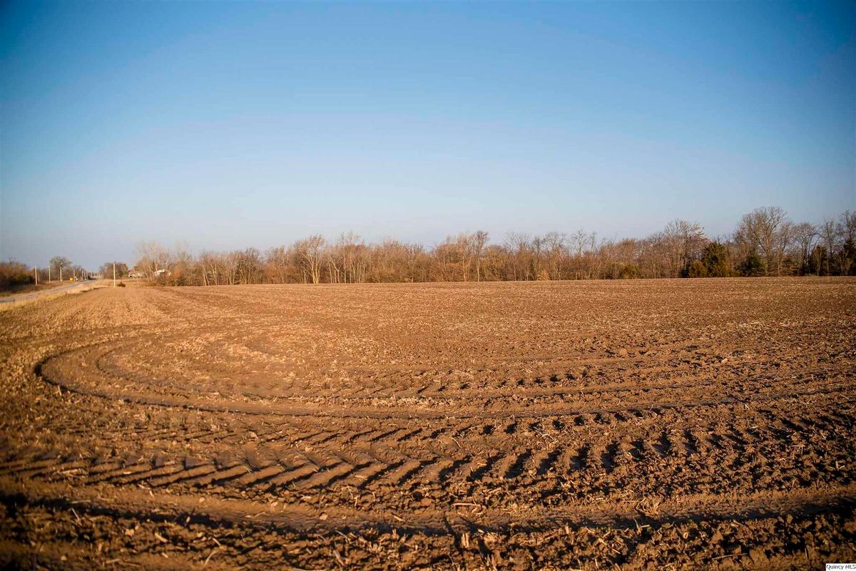 SE SEC 23 Keene Township, Loraine, IL 62349