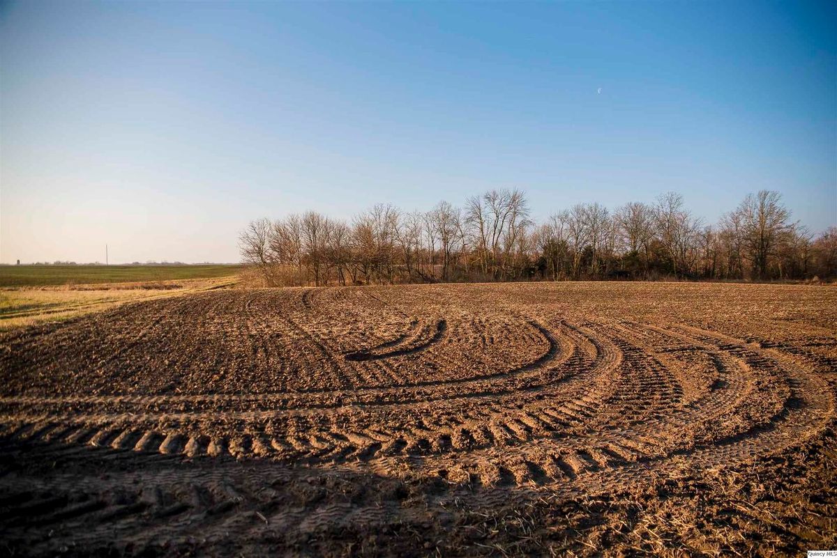 SE SEC 23 Keene Township, Loraine, IL 62349