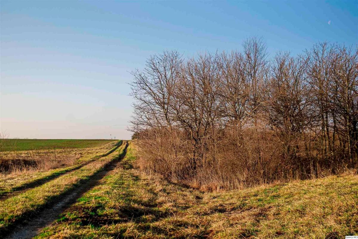 SE SEC 23 Keene Township, Loraine, IL 62349