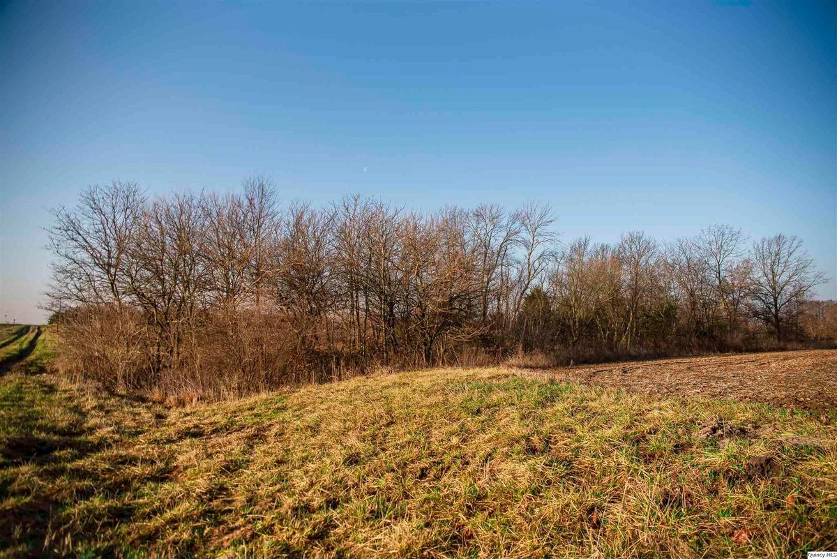 SE SEC 23 Keene Township, Loraine, IL 62349