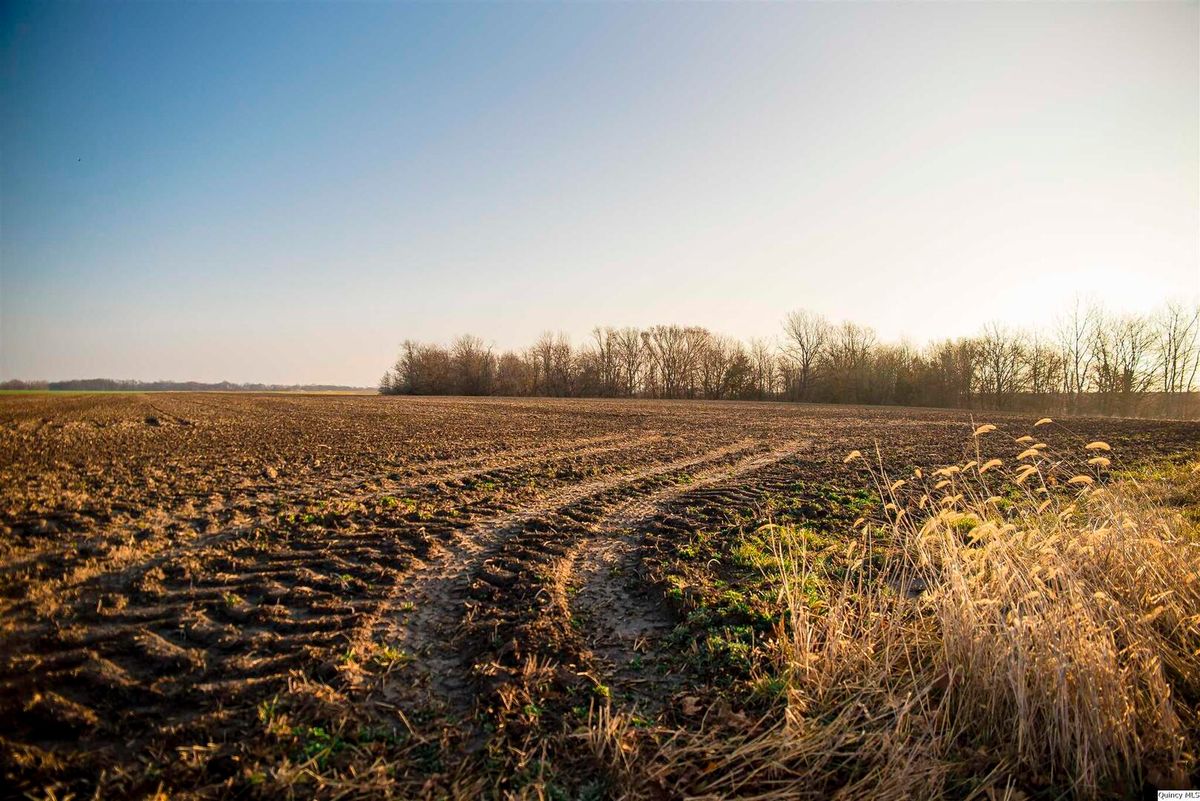 SE SEC 23 Keene Township, Loraine, IL 62349