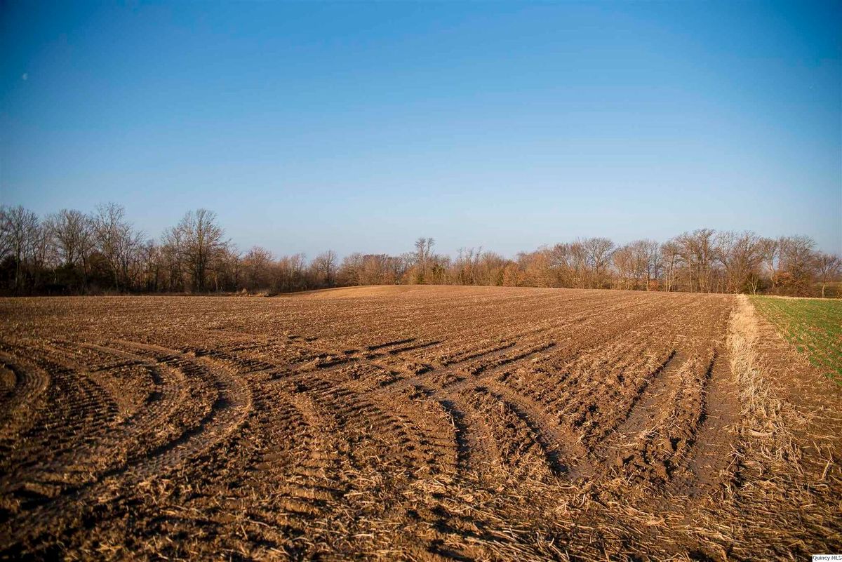 SE SEC 23 Keene Township, Loraine, IL 62349