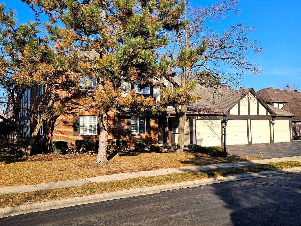 230 Windsor Lane, Willowbrook, IL 60527