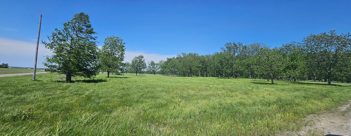 0 Gerard Road, Mcclure, IL 62957
