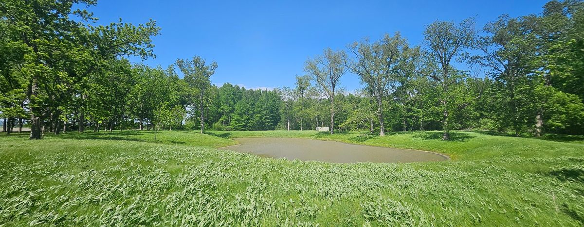 0 Gerard Road, Mcclure, IL 62957