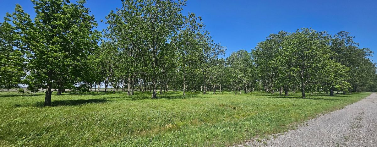 0 Gerard Road, Mcclure, IL 62957