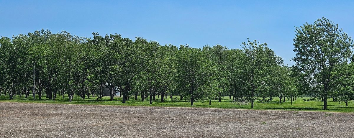 0 Gerard Road, Mcclure, IL 62957