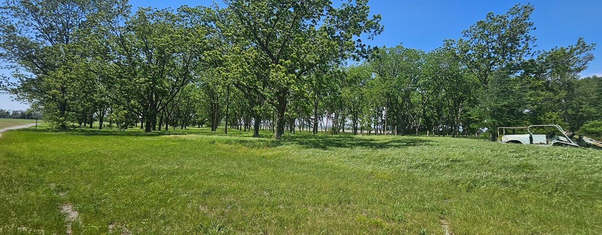 0 Gerard Road, Mcclure, IL 62957