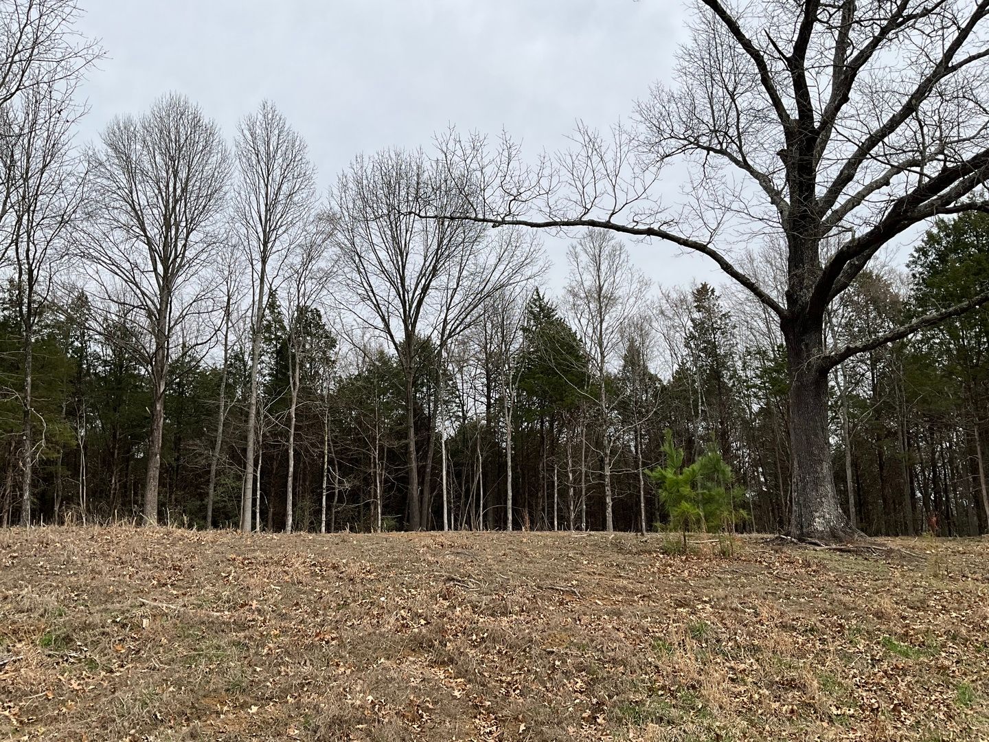 305 Pecan Point — Goreville, IL 62939