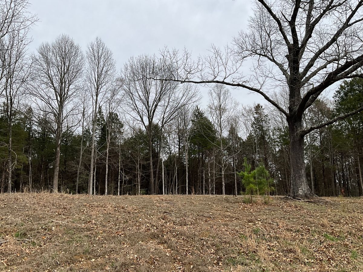 305 Pecan Point, Goreville, IL 62939