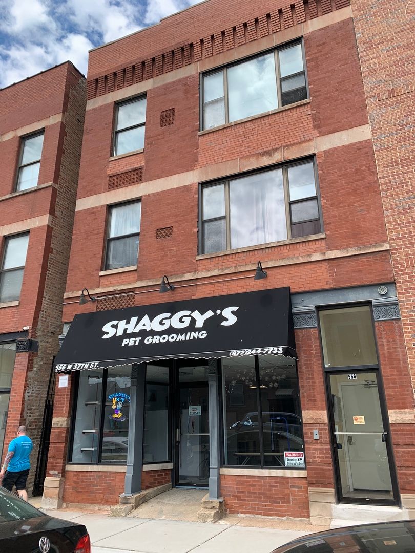 556 37th Street, Chicago, IL 60609