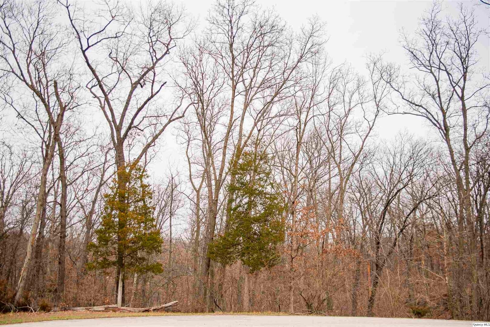 4611 Barbara Jane Court — Quincy, IL 62305