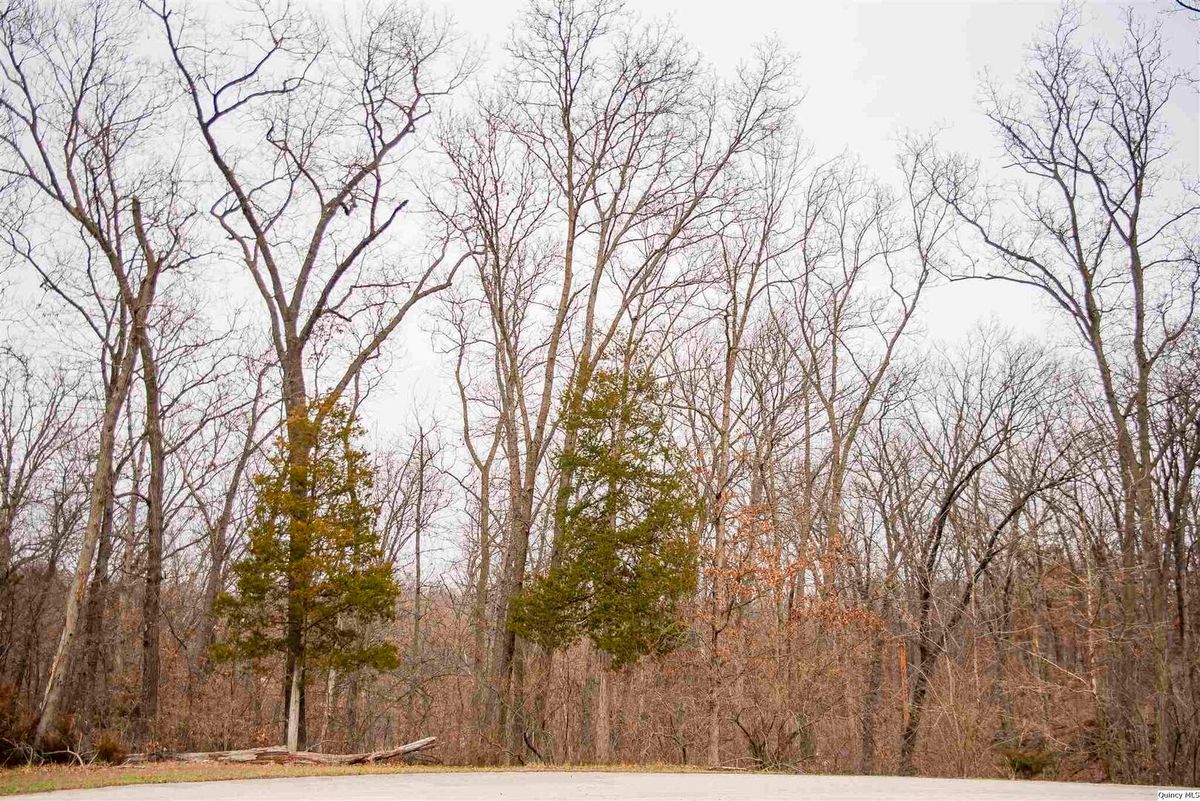 4611 Barbara Jane Court, Quincy, IL 62305