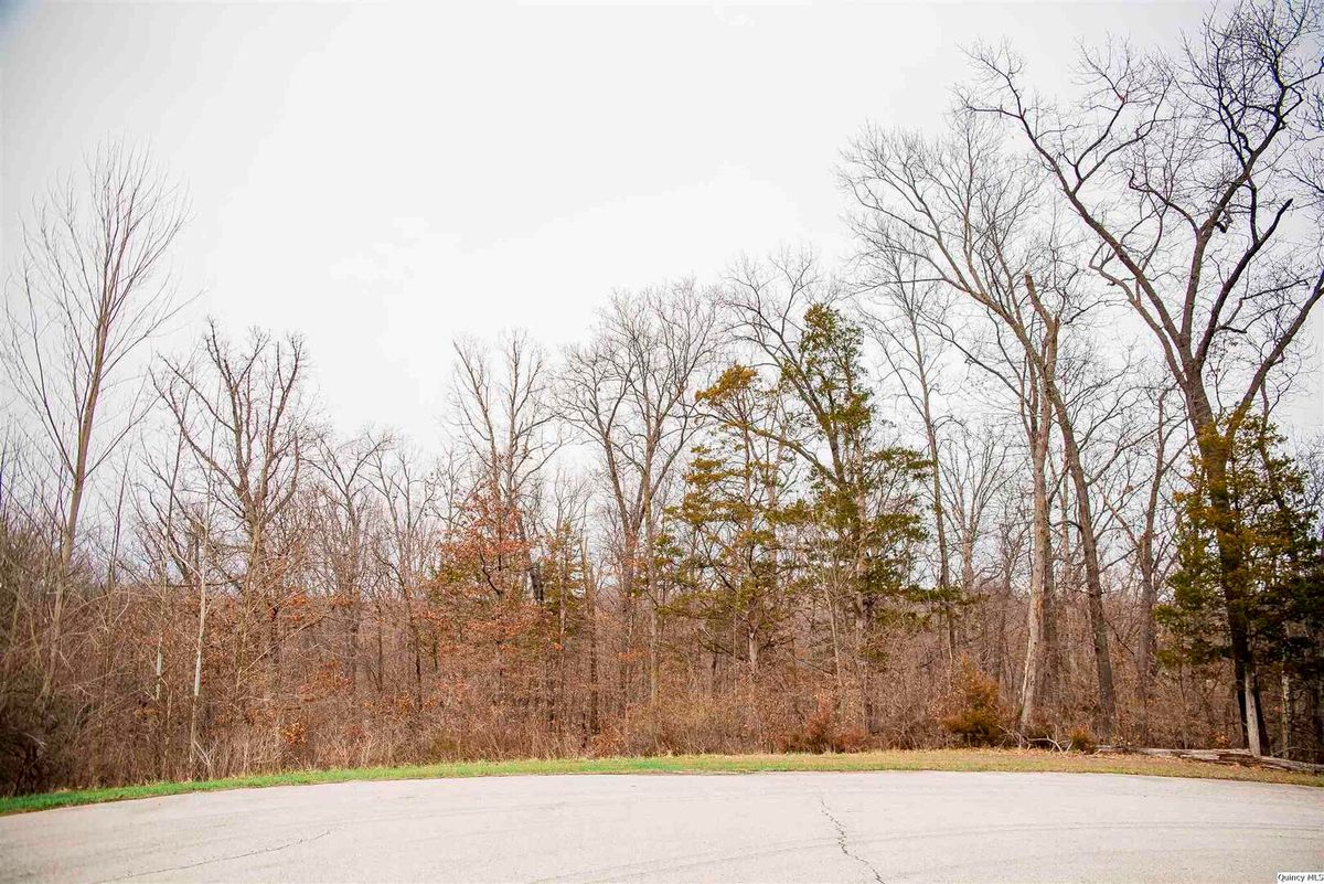 4605 Barbara Jane Court, Quincy, IL 62305