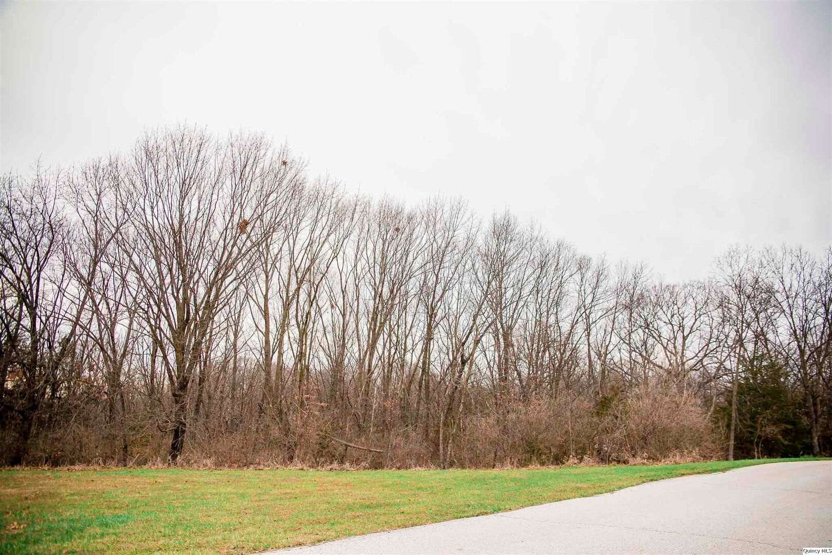 SE Cor Lot 15 — Quincy, IL 62305