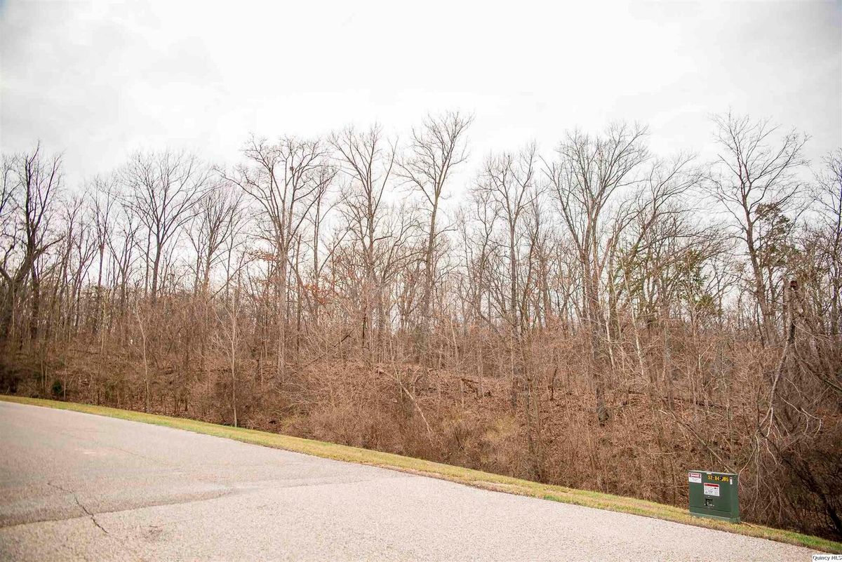 SE Sec 21 2S8W 3.139, Quincy, IL 62305